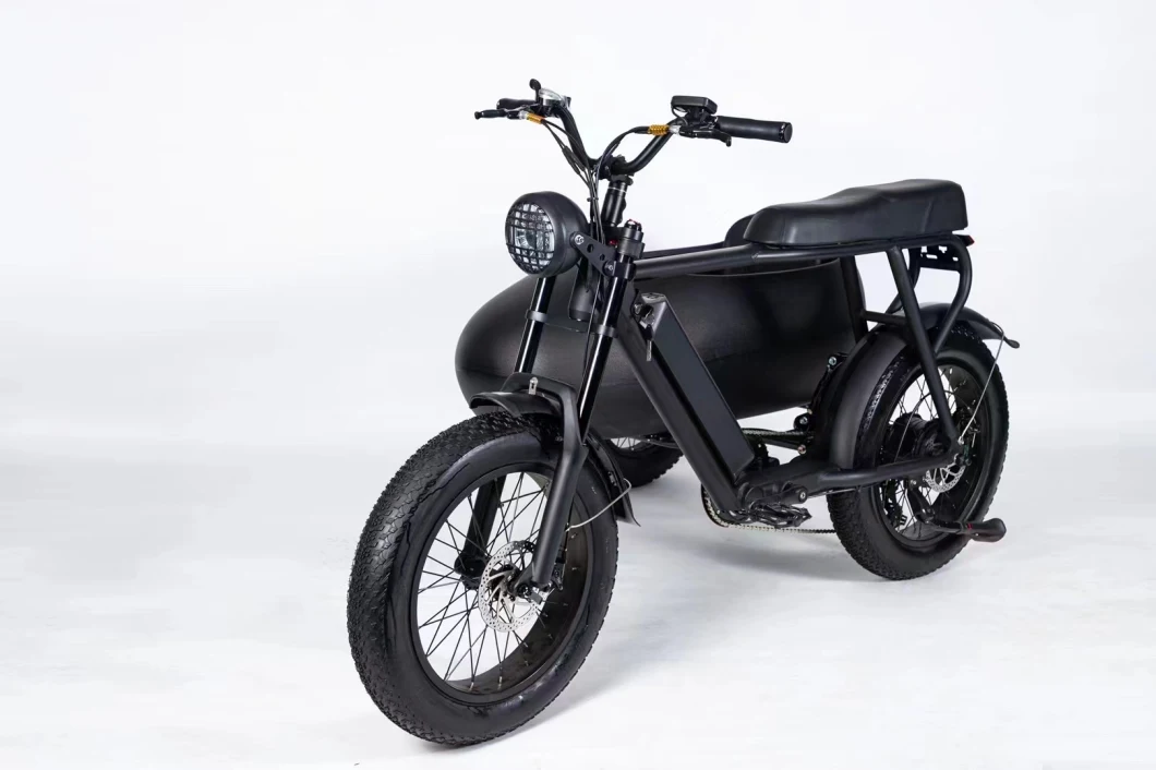 Ultra Low Price Electric Bike High Performance Sidecar for Adult Commuter